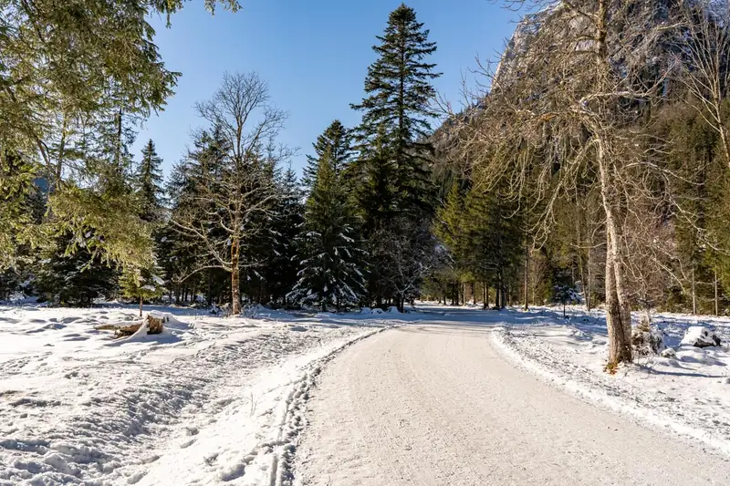 Wildfütterung im Klausbachtal