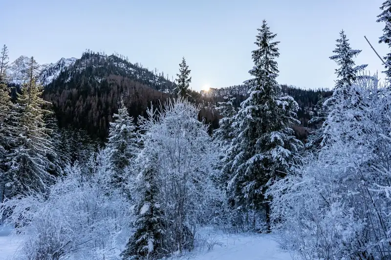 Winterspaziergang im Klausbachtal