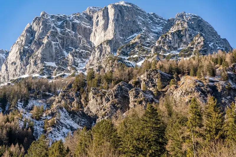 Wildfütterung im Klausbachtal