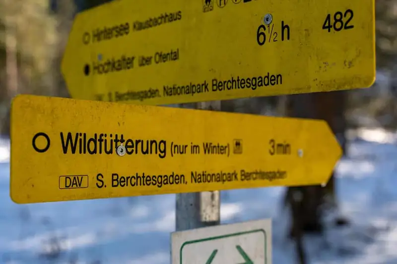 Wildfütterung im Klausbachtal